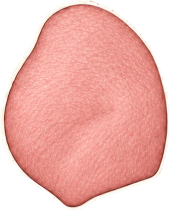 Ham op een illustratie van een varken