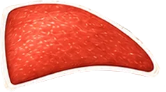 Picanha op een illustratie van een rund