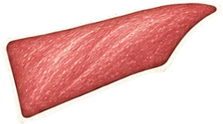 Lamsfilet op een illustratie van een lam