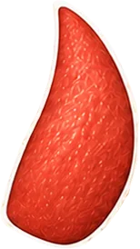 Bloemstuk op een illustratie van een rund