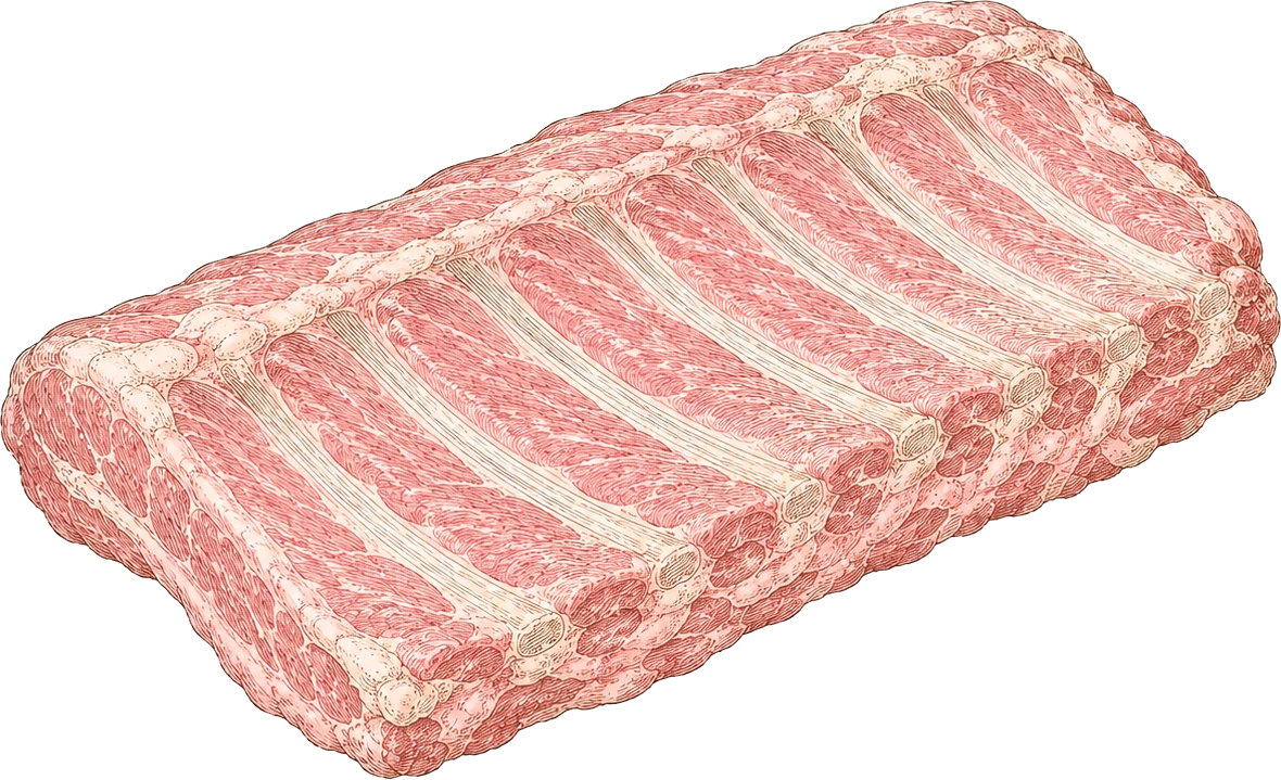Illustratie van belly ribs van het varken